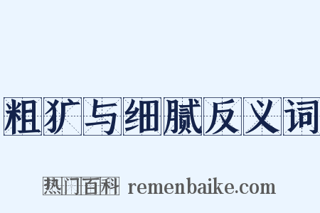 粗犷与细腻反义词是什么意思的图片